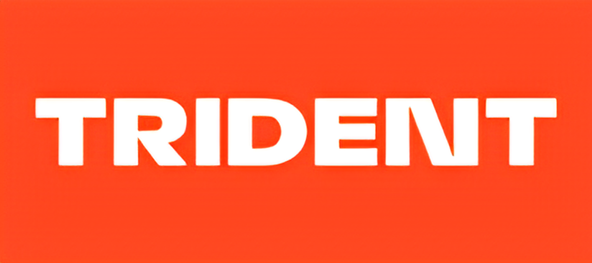 Trident — корпоративне навчання англійської